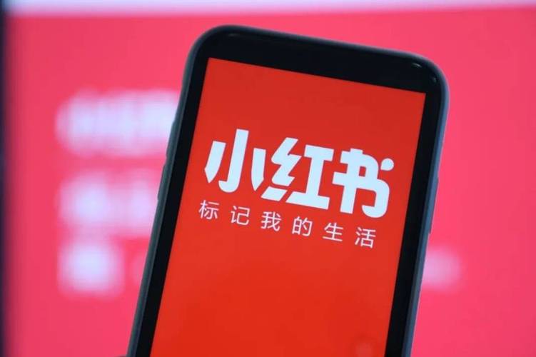 如何在《小红书》上观看2026年世界杯