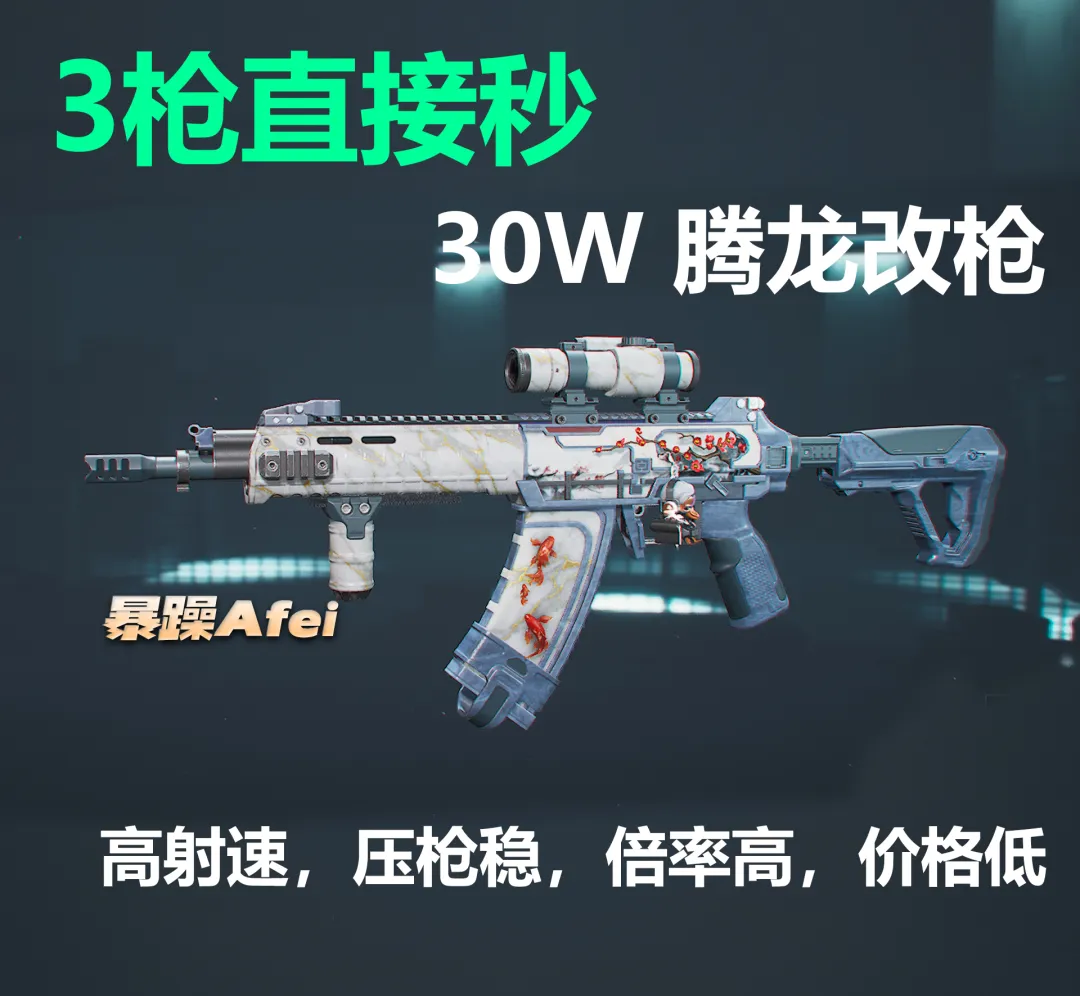 三角洲行动冷门廉价高强度武器腾龙步枪改枪思路分享