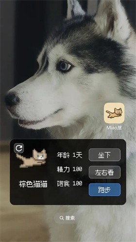 Miao屋截图1