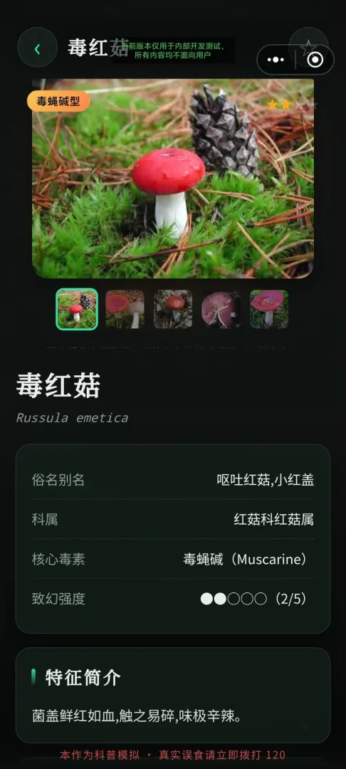 毒蘑菇幻觉模拟器截图2