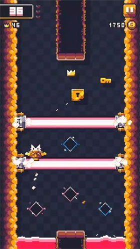 猫猫冲撞截图4