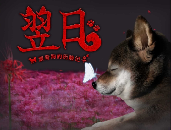 翌日波奇狗的历险记截图2