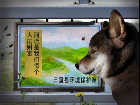 翌日波奇狗的历险记截图3