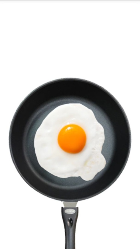 Fried Egg截图2