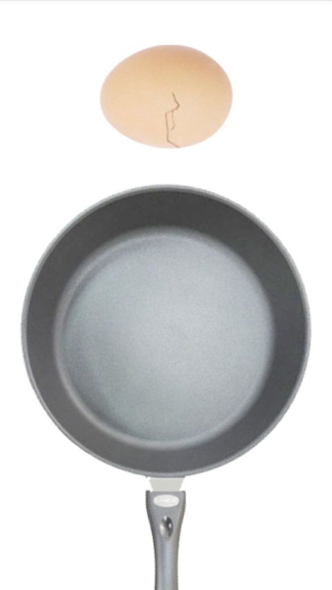 Fried Egg截图3