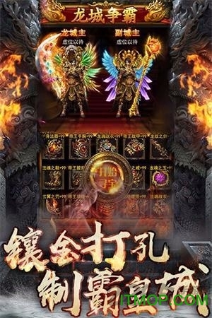 176大地复古传奇截图4