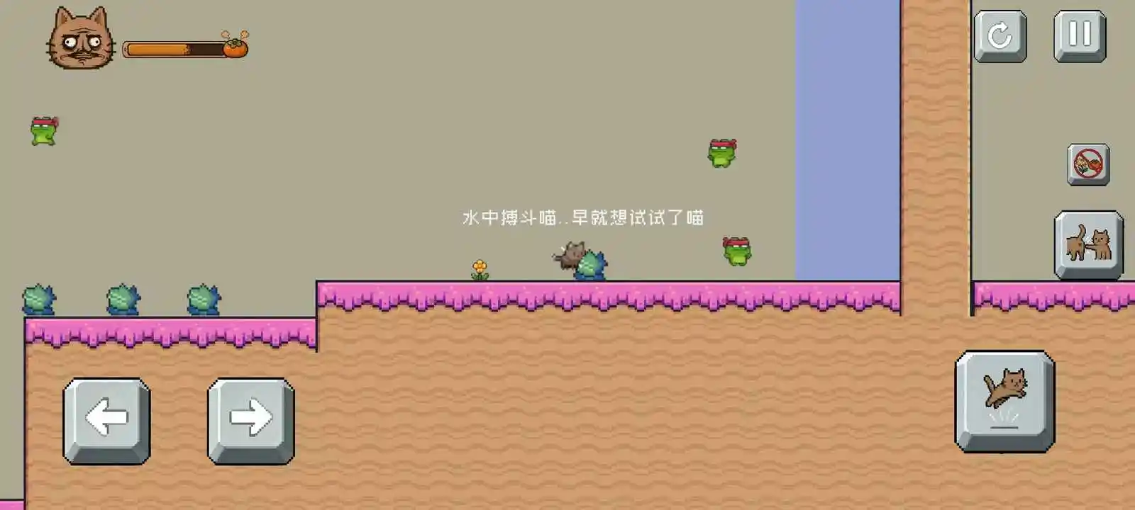 药柿了喵截图3