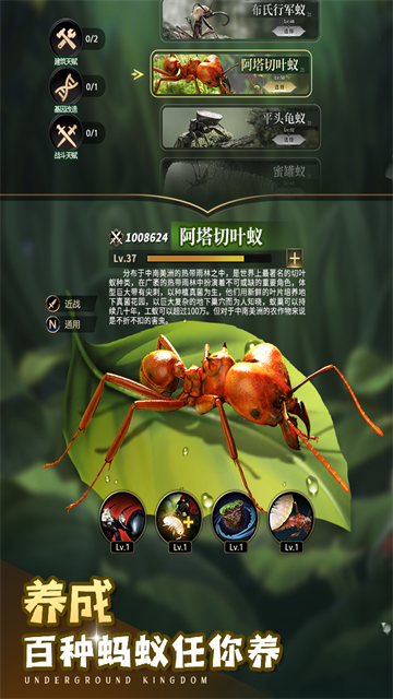 小小蚁国截图5