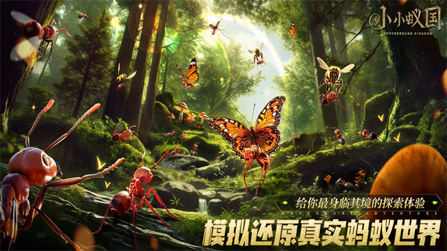 蚂蚁地下王国截图2