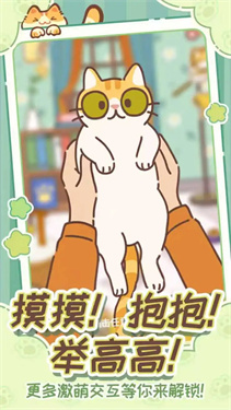 领养一只流浪猫截图2