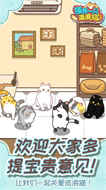 领养一只流浪猫截图3