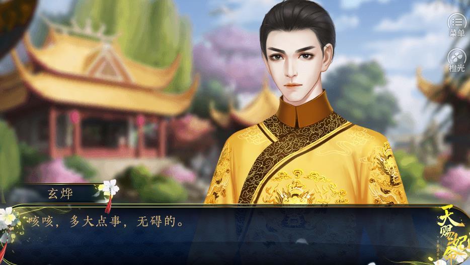 天赐妃命截图2