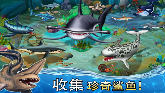 鲨鱼世界截图1