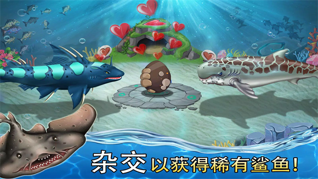 鲨鱼世界截图2