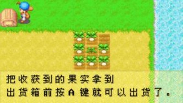 牧场物语矿石镇的伙伴们截图3