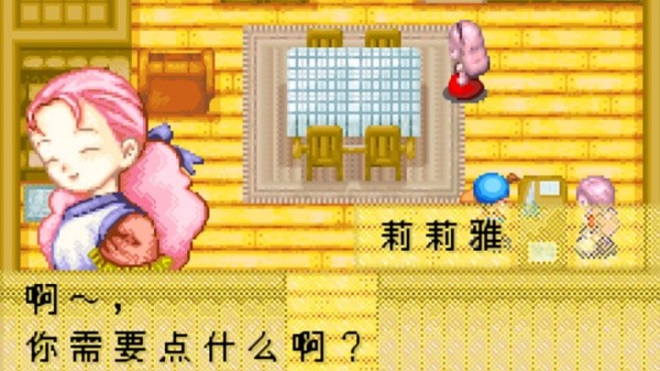 牧场物语矿石镇的伙伴们截图4