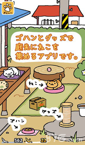 猫咪后院截图1