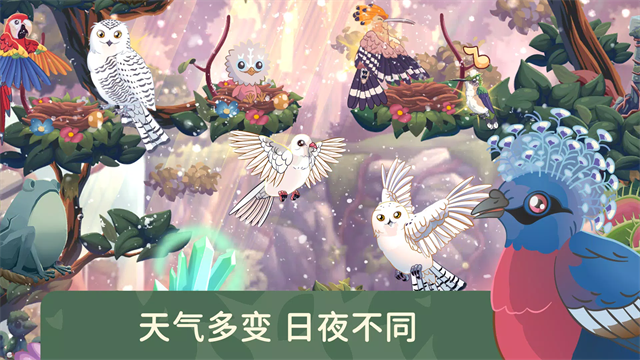 鸟类世界截图1