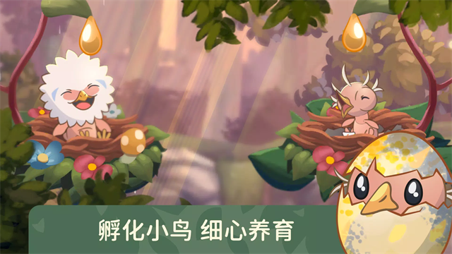 鸟类世界截图3