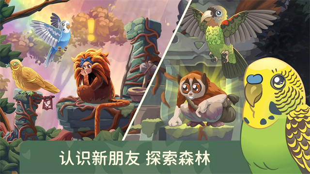 鸟类世界截图4
