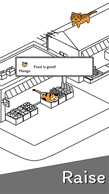 猫咪真的很可爱截图5