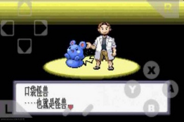 口袋妖怪红宝石截图4