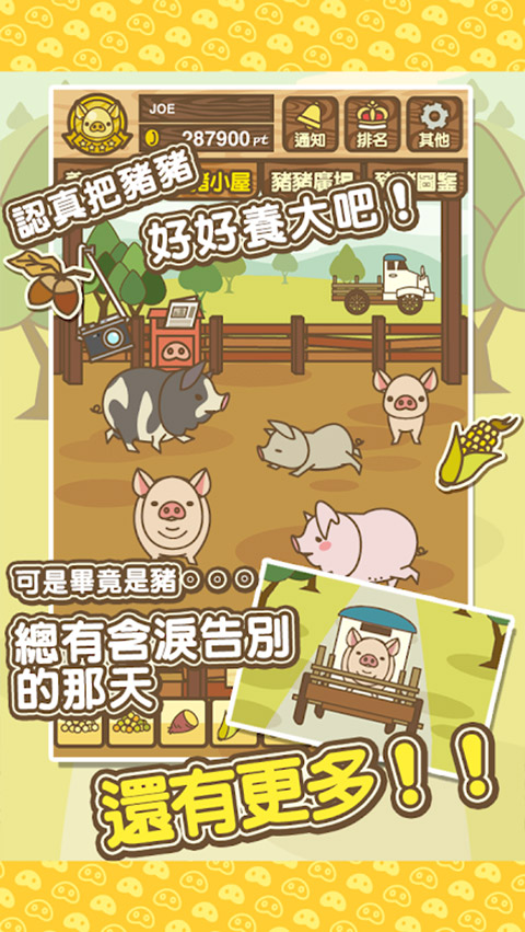 养猪场mix截图1