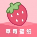 草莓壁纸