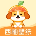 西柚壁纸