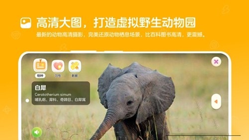 动来屋截图2