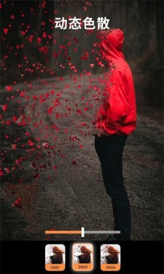 EnlightPhotoloop截图1