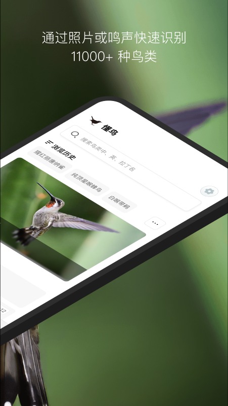 懂鸟截图2