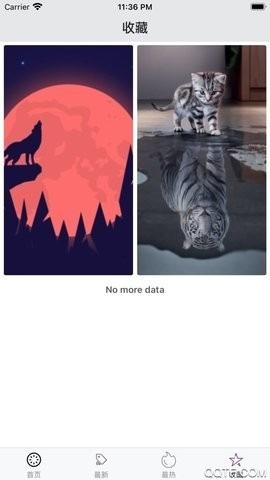 百变桌面壁纸截图1