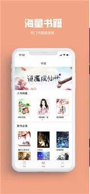 飞雨小说截图1