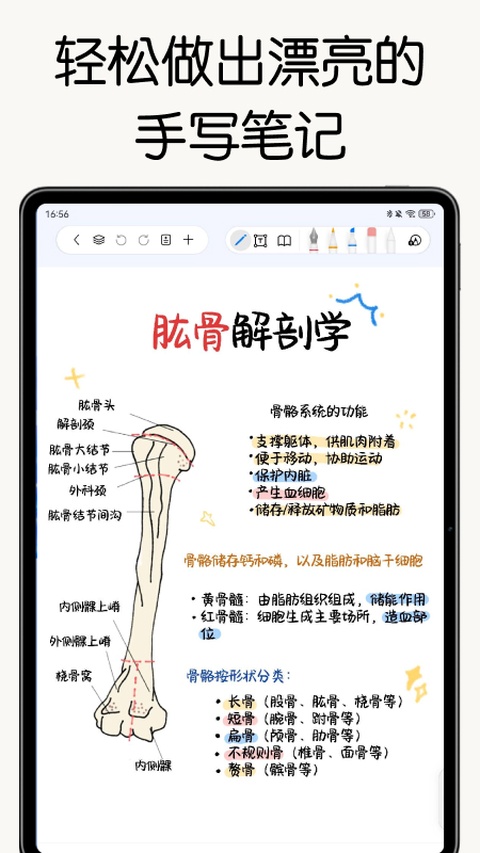 自由笔记截图4