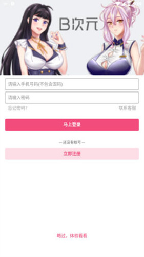 B次元截图3