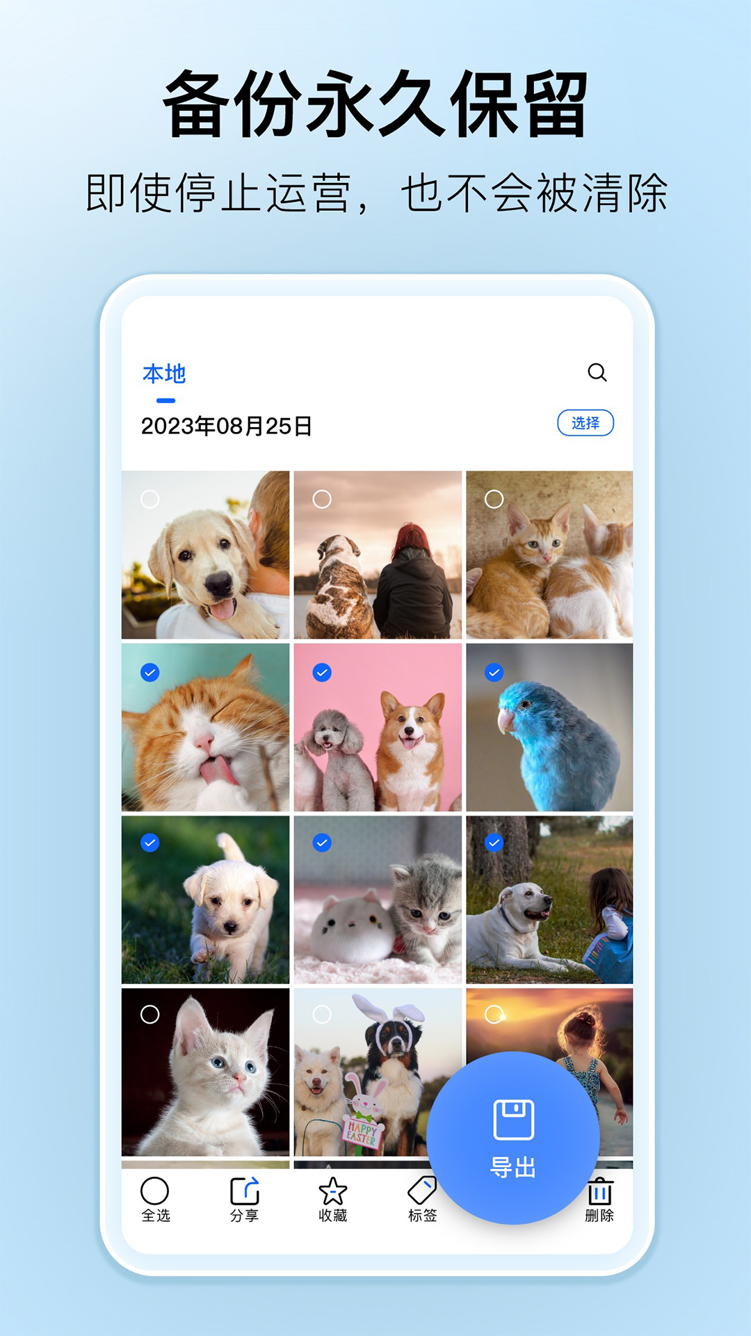 深林集影截图3