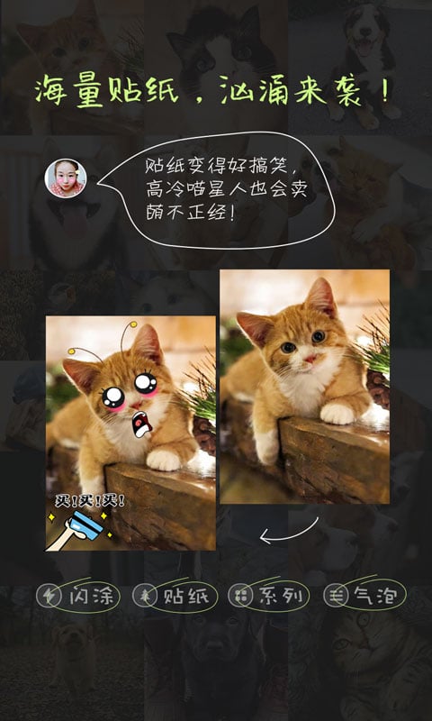 萌宠相机截图3