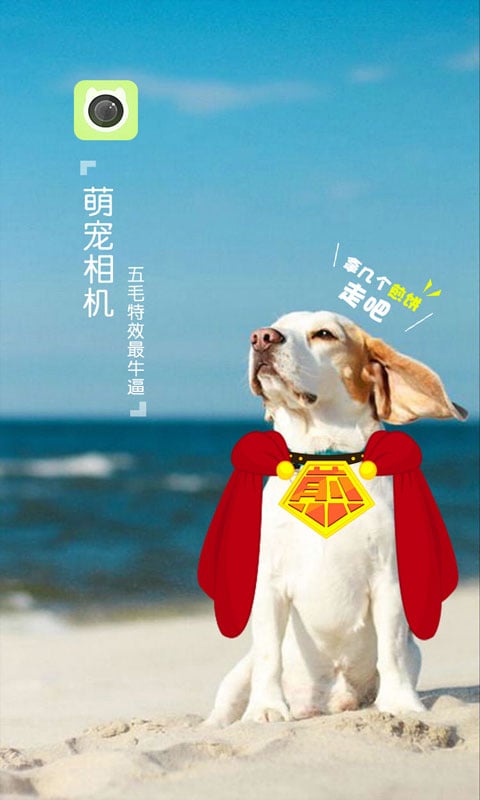 萌宠相机截图4