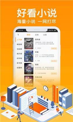 飞梦小说截图2