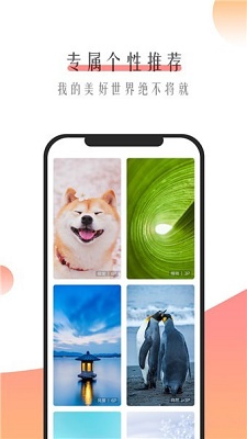 米柚壁纸截图2