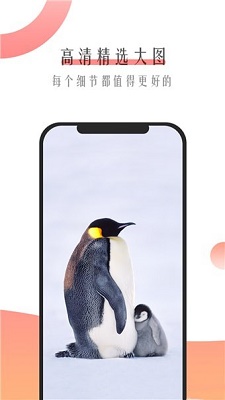 米柚壁纸截图3
