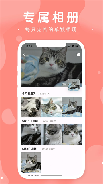 有宠截图3