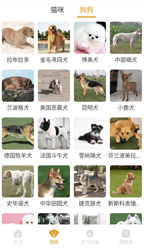 韶光相机截图2