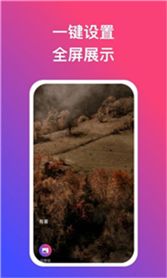 炫动壁纸截图3