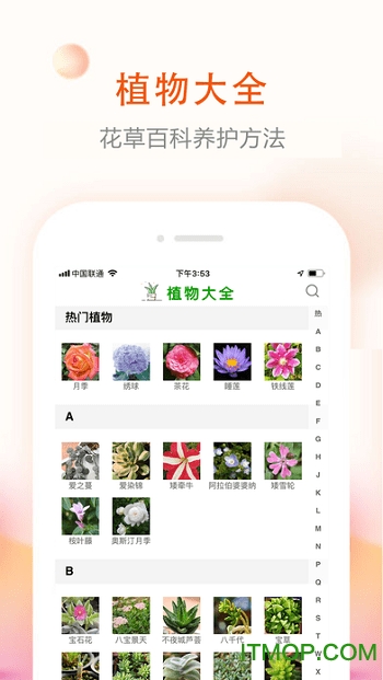花草君截图3