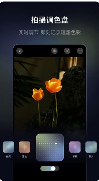 光卷截图3