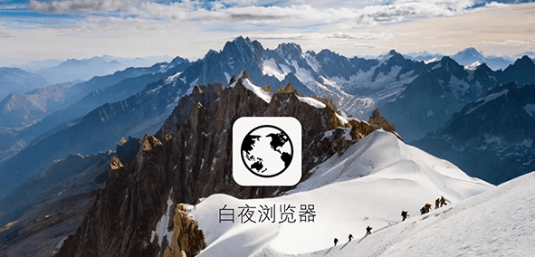 白夜浏览器截图2