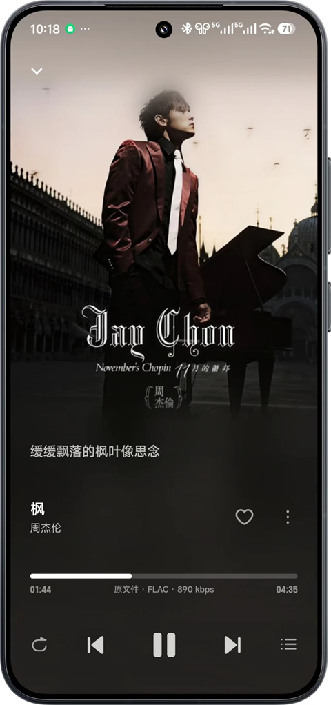 飞牛音乐截图3