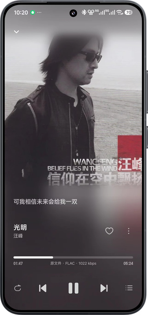 飞牛音乐截图4